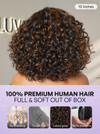 Effortless Elegance Copper Highlight / Natural Black Bouncy Curl Wig Minimalist HD Lace Glueless Wig Pre-Cut Lace